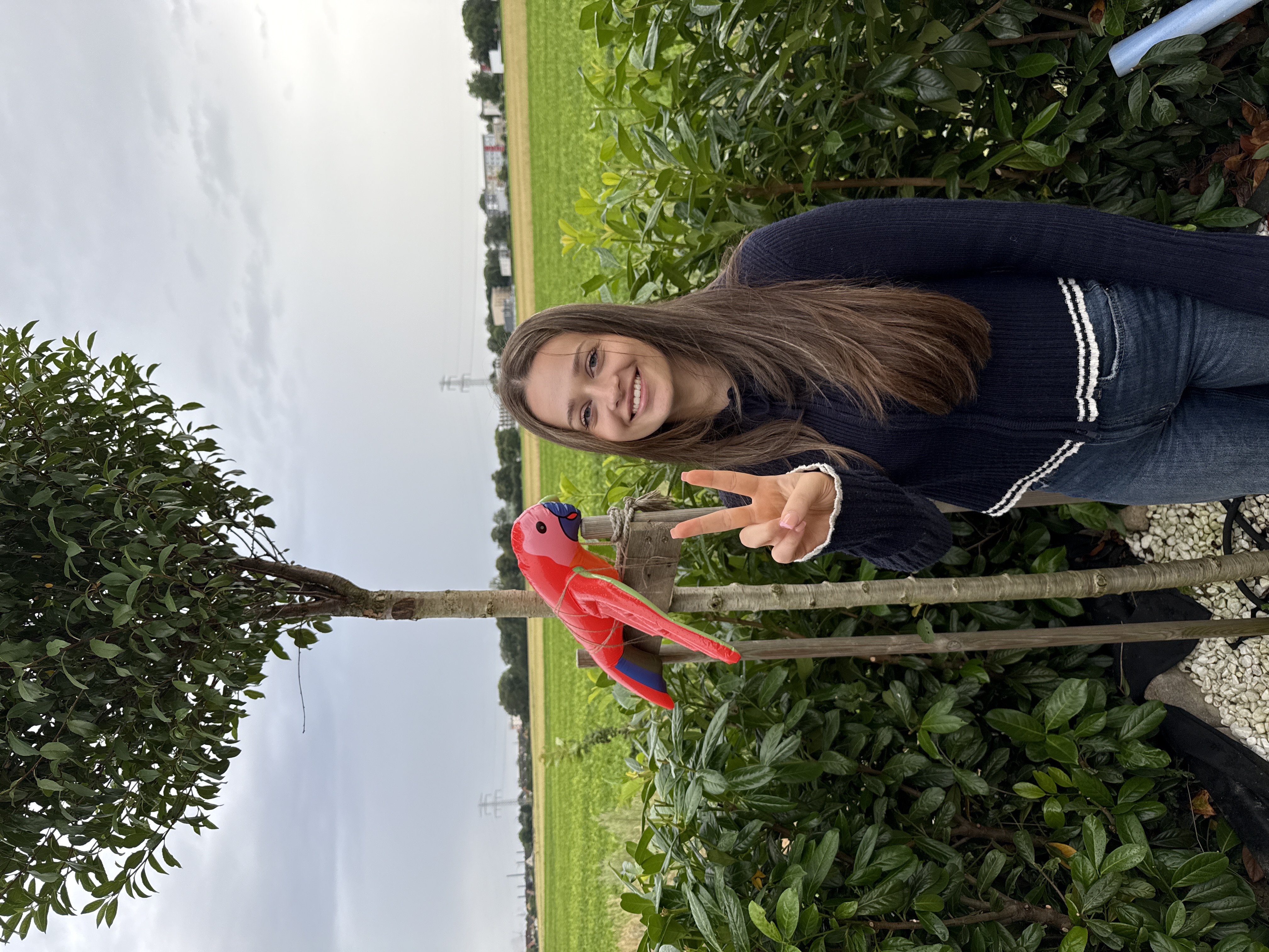 Traveler v-sign photo 45