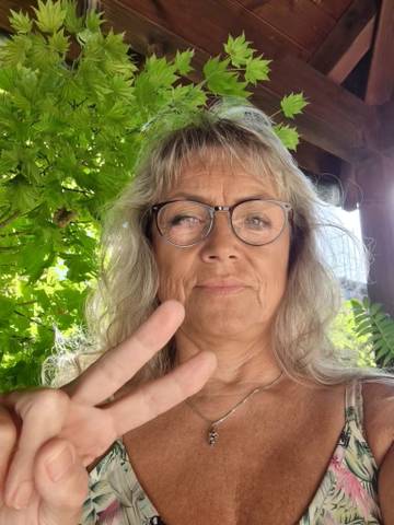 Traveler v-sign photo 198