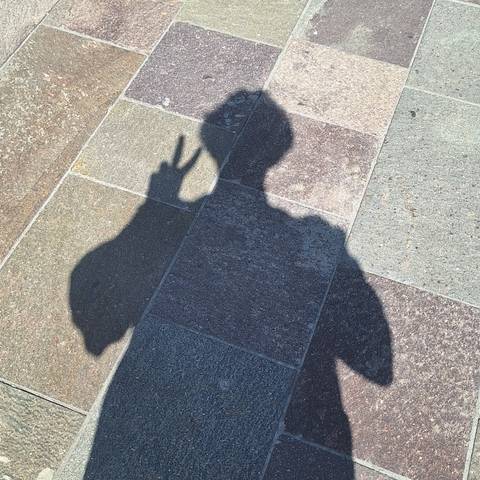 Traveler v-sign photo 23