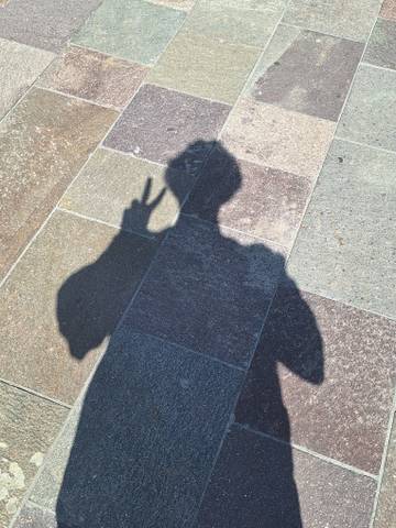 Traveler v-sign photo 23
