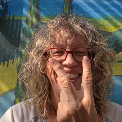 Traveler v-sign photo 3